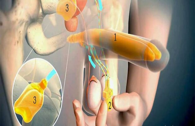 Surgery lipofilling