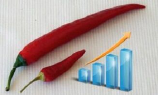 Penis increase
